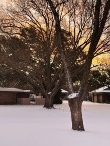 Monday Notes at My House